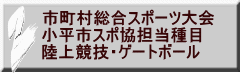 市町村総合スポーツ大会 小平市スポ協担当種目 陸上競技・ゲートボール